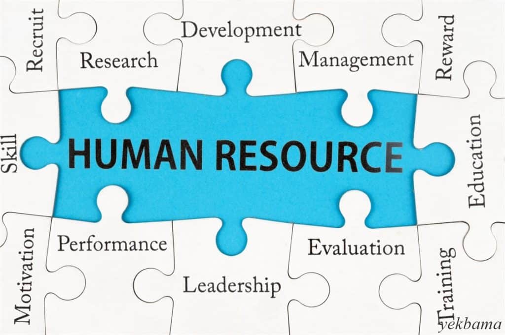 مدیریت منابع انسانی برای کسب و کارهای کوچک